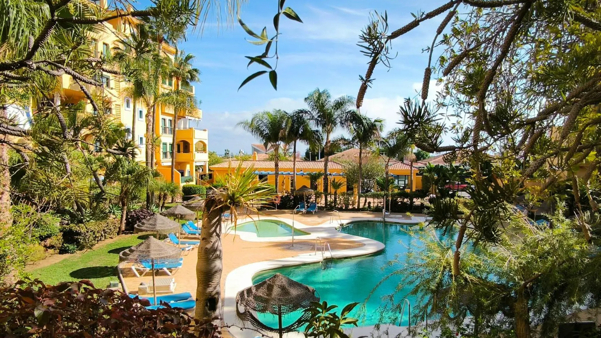 kontakty Marbella Dreams